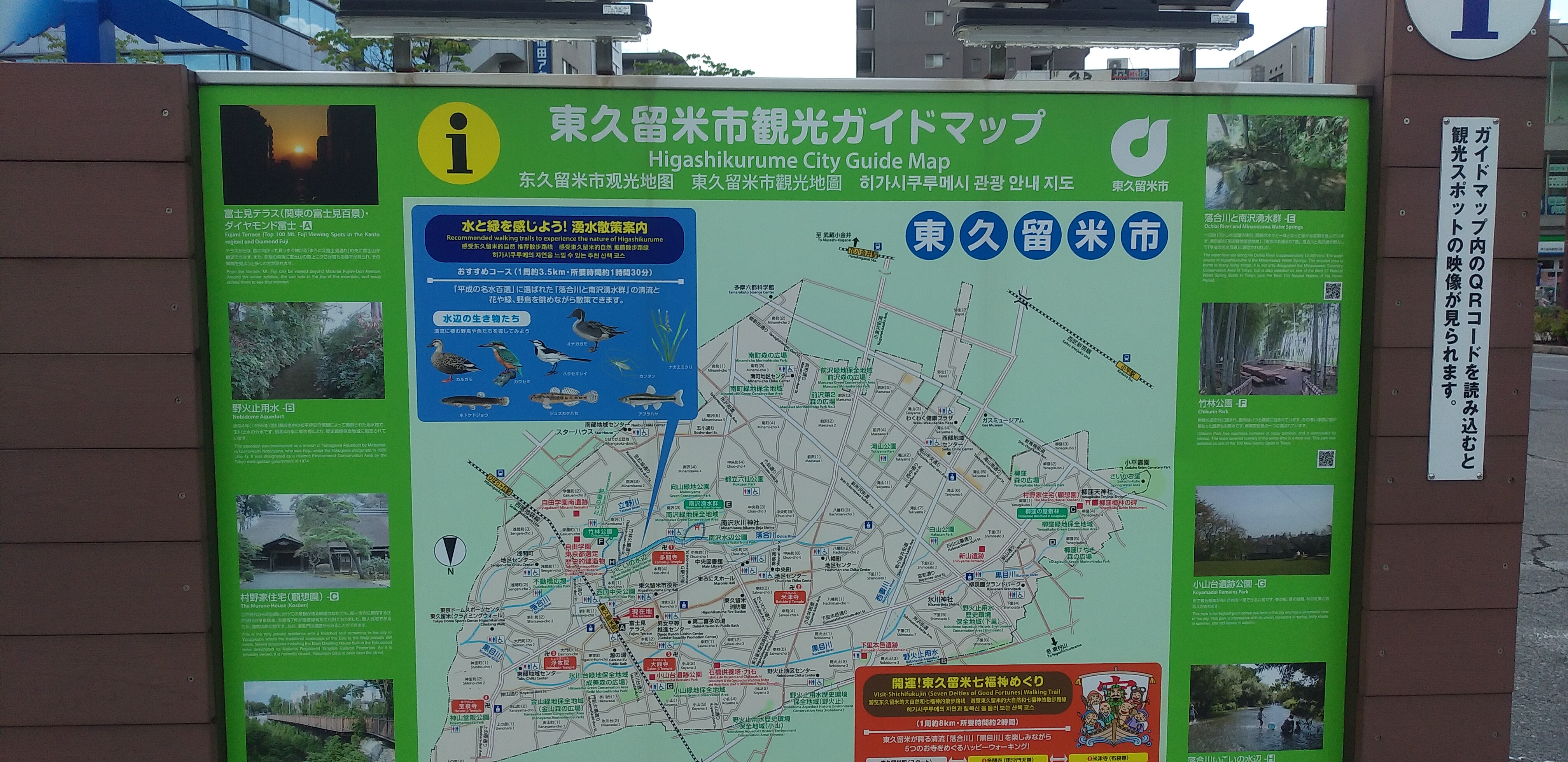 IMG_20210715_133037.jpg